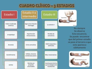 Estadio I
Fiebre moderada
continua
Irritabilidad
Anorexia
Estreñimiento
vómito
Estadio II o
intermedio
Signos de irritación
meníngea
Hipertensión
intracraneana
Crisis convulsiva
Cefalea, lesiones
cerebrovasculares
Vómitos en
proyectil,
aracnoiditis
Estadio III
Lo anterior+
Perdida de
conciencia
Debil respuesta a
estimulos
Mov. Involuntarios
Acentuacion de los
sg neurologicos de
localización
No siempre
Se observa
Esta secuencia.
Se puede encontrar
que del primer estadio
se pase al tercero o que
este aparezca
súbitamente
 