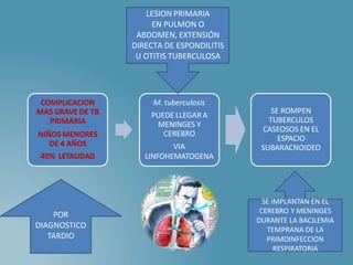 COMPLICACION
MAS GRAVE DE TB
PRIMARIA
NIÑOS MENORES
DE 4 AÑOS
40% LETALIDAD
M. tuberculosis
PUEDE LLEGAR A
MENINGES Y
CEREBRO
VIA
LINFOHEMATOGENA
SE ROMPEN
TUBERCULOS
CASEOSOS EN EL
ESPACIO
SUBARACNOIDEO
LESION PRIMARIA
EN PULMON O
ABDOMEN, EXTENSIÓN
DIRECTA DE ESPONDILITIS
U OTITIS TUBERCULOSA
POR
DIAGNOSTICO
TARDIO
SE IMPLANTAN EN EL
CEREBRO Y MENINGES
DURANTE LA BACILEMIA
TEMPRANA DE LA
PRIMOINFECCION
RESPIRATORIA
 