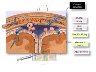 Cisterna
LUMBAR

Mèdula

80-180
mmhg
<5 cel
mono
L1-L2

Aracnoides
Duramadre

Filum terminale
envuelto por la
Piamadre

Prot 15- 45 mg
Glucosa ½
suero
Agua de Roca

S2

 