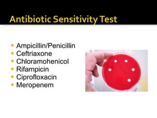 <ul><li>Ampicillin/Penicillin </li></ul><ul><li>Ceftriaxone </li></ul><ul><li>Chloramohenicol </li></ul><ul><li>Rifampicin...