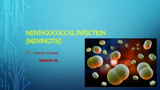 MENINGOCOCCAL INFECTION
(MENINGITIS)
BY- VIKASH KUMAR
GROUP-55
 