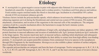 Etiology
● N. meningitidis is a gram-negative coccus in pairs with adjacent sides flattened. It is non-motile, aerobic, and
facultatively anaerobic. It produces catalase and is oxidase positive. It produces acid from glucose and maltose.
Fresh isolates require enriched media like blood or chocolate agar. Incubation in a humidified 10% carbon
dioxide (CO2) environment enhances growth.
Virulence factors include the polysaccharide capsule, which enhances invasiveness by inhibiting phagocytosis and
enhancing organism survival during the bloodstream and central nervous system (CNS) invasion. Pili mediate
attachment, colonization, and invasion of the organisms to the mucosal cells of the nasopharynx. The antigenic
variation of pili by a cassette mechanism allows the bacterium to escape the host's immune system.
Outer Membrane Proteins
Porin proteins can insert themselves into membranes of target cells, and phagolysosomes can induce apoptosis. OPC
protein functions in mucosal adherence and invasion of endothelial cells. IgA1 protease hydrolyzes IgA1 molecules
in the hinge regions. The enzyme inactivates IgA1 at mucosal surfaces, enabling initial attachment and subsequent
invasion. Pathogenic Neisseria survives and multiplies by their ability to extract iron from high-affinity iron-binding
proteins. N. meningitidis can acquire penicillin resistance from commensal Neisseria species in the nasopharynx
through DNA fragments by the transformation. Meningococcus also exhibits a phase variation of surface antigens,
thus evading the host immune response.
The capsular polysaccharides are antigenic and form the basis of serogroups. Twelve serogroups are A, B, C, H, I, K,
L, X, Y, Z, W-135, and 29F. Serogroups A, B, C, W-135, X, and Y are the most common causes of invasive disease
worldwide.
 