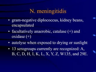 N. meningitidis
• gram-negative diplococcus, kidney beans,
encapsulated
• facultatively anaerobic, catalase (+) and
oxidase (+)
• autolyse when exposed to drying or sunlight
• 13 serogroups currently are recognized: A,
B, C, D, H, I, K, L, X, Y, Z, W135, and 29E.
 