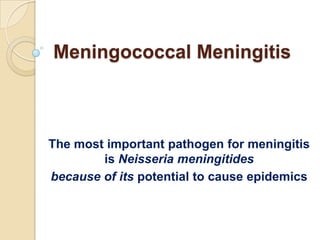Meningococcal Meningitis



The most important pathogen for meningitis
        is Neisseria meningitides
because of its potential to cause epidemics
 