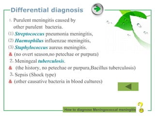 www.themegallery.com LOGO
Differential diagnosis
⒈ Purulent meningitis caused by
other purulent bacteria.
⑴ Streptococcus pneumonia meningitis,
⑵ Haemophilus influenzae meningitis,
⑶ Staphylococcus aureus meningitis.
＆ (no overt season,no petechae or purpura)
⒉ Meningeal tuberculosis.
＆ (the history, no petechae or purpura,Bacillus tuberculosis)
⒊ Sepsis (Shock type)
＆ (other causative bacteria in blood cultures)
How to diagnose Meningococcal meningitis
 