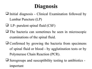 Diagnosis
 Initial diagnosis - Clinical Examination followed by
Lumbar Puncture (LP)
 LP- purulent spinal fluid (CSF)
 The bacteria can sometimes be seen in microscopic
examinations of the spinal fluid.
 Confirmed by growing the bacteria from specimens
of spinal fluid or blood - by agglutination tests or by
Polymerase Chain Reaction (PCR).
 Serogroups and susceptibility testing to antibiotics -
important
 