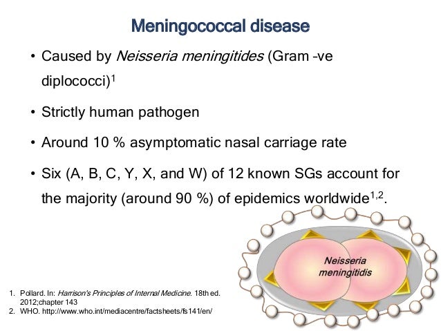 meningococcal vaccination needed in india july 2016 n meningitidis