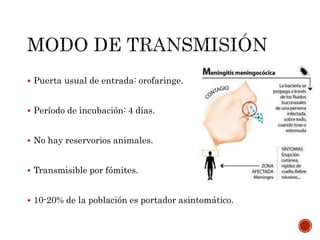  Puerta usual de entrada: orofaringe.
 Período de incubación: 4 días.
 No hay reservorios animales.
 Transmisible por fómites.
 10-20% de la población es portador asintomático.
 