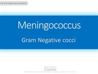 Meningococcus
Gram Negative cocci
Attribution-NonCommercial-ShareAlike 4.0 International (CC BY-NC-SA 4.0)
For B.Sc Optometry Students
 
