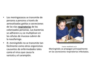 • Los meningococos se transmite de
persona a persona a través de
aerosolizadas gotitas o secreciones
de las vías respiratorias de los
colonizados personas. Las bacterias
se adhieren a y se multiplican en
las células de mucosa cubren de
la nasofaringe.
• N. meningitidis no se transmite tan
fácilmente como otros organismos
causantes de enfermedades tales
como el virus que causa la
varicela y el sarampión.
Fuente: HealthSoft, Inc.N.
Meningitidis se propagan principalmente
en las secreciones respiratorias infectadas.
 