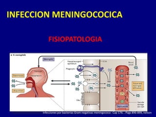 INFECCION MENINGOCOCICA

           FISIOPATOLOGIA




       Infecciones por bacterias Gram negativas meningococo: Cap 176. . Pags 896-899, nelson
 