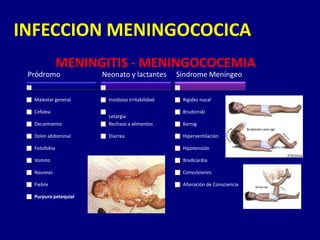 INFECCION MENINGOCOCICA
              MENINGITIS - MENINGOCOCEMIA
 Pródromo             Neonato y lactantes        Síndrome Meníngeo


  Malestar general     Insidioso Irritabilidad    Rigidez nucal

  Cefalea                                         Brudzinski
                       Letargia
  Decaimiento          Rechazo a alimentos        Kernig

  Dolor abdominal      Diarrea                    Hiperventilación

  Fotofobia                                       Hipotensión

  Vomito                                          Bradicardia

  Nauseas                                         Convulsiones

  Fiebre                                          Alteración de Consciencia

  Purpura petequial
 