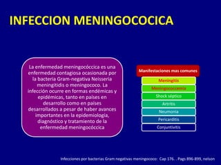 INFECCION MENINGOCOCICA


   La enfermedad meningocóccica es una
                                                           Manifestaciones mas comunes
  enfermedad contagiosa ocasionada por
    la bacteria Gram-negativa Neisseria                               Meningitis
       meningitidis o meningococo. La
                                                                  Meningococcemia
  infección ocurre en formas endémicas y
       epidémicas, tanto en países en                               Shock séptico
         desarrollo como en países                                      Artritis
  desarrollados a pesar de haber avances                              Neumonia
      importantes en la epidemiología,
       diagnóstico y tratamiento de la                               Pericarditis
        enfermedad meningocóccica                                    Conjuntivitis




                Infecciones por bacterias Gram negativas meningococo: Cap 176. . Pags 896-899, nelson
 