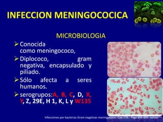 INFECCION MENINGOCOCICA
                    MICROBIOLOGIA
  Conocida
   como meningococo,
  Diplococo,             gram
   negativa, encapsulado y
   piliado.
  Sólo afecta a seres
   humanos.
  serogrupos:A, B, C, D, X,
   Y, Z, 29E, H 1, K, L y W135

            Infecciones por bacterias Gram negativas meningococo: Cap 176. . Pags 896-899, nelson
 