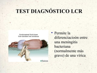 TEST DIAGNÓSTICO LCR


          
              Permite la
              diferenciacioón entre
              una meningitis
              bacteriana
              (normalmente más
              grave) de una vírica
 