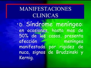•D. Síndrome meníngeo:
en ocasiones, hasta mas de
50% de los casos, presenta
afección meníngea
manifestada por rigidez de
nuca, signos de Brudzinski y
Kernig.
MANIFESTACIONES
CLINICAS
MANIFESTACIONES
CLINICAS
 