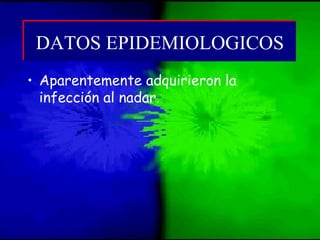 • Aparentemente adquirieron la
infección al nadar.
DATOS EPIDEMIOLOGICOSDATOS EPIDEMIOLOGICOS
 