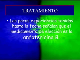 • Las pocas experiencias tenidas
hasta la fecha señalan que el
medicamento de elección es la
anfotericina B.
TRATAMIENTOTRATAMIENTO
 