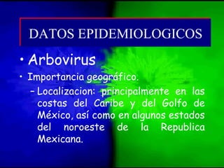 • Arbovirus
• Importancia geográfico.
– Localizacion: principalmente en las
costas del Caribe y del Golfo de
México, así como en algunos estados
del noroeste de la Republica
Mexicana.
DATOS EPIDEMIOLOGICOSDATOS EPIDEMIOLOGICOS
 