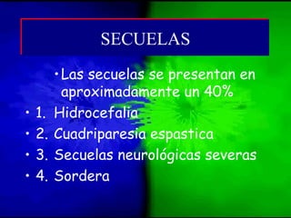 •Las secuelas se presentan en
aproximadamente un 40%
• 1. Hidrocefalia
• 2. Cuadriparesia espastica
• 3. Secuelas neurológicas severas
• 4. Sordera
SECUELASSECUELAS
 