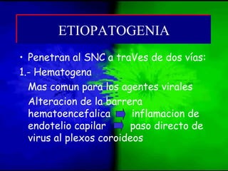 • Penetran al SNC a traVes de dos vías:
1.- Hematogena
Mas comun para los agentes virales
Alteracion de la barrera
hematoencefalica inflamacion de
endotelio capilar paso directo de
virus al plexos coroideos
ETIOPATOGENIAETIOPATOGENIA
 