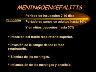 MENINGOENCEFALITIS
Patogenia
Período de incubación 2-10 días
Portadores sanos en adultos hasta 10%
Y en niños pequeños hasta 50%
 Infección del tracto respiratorio superior.
 Invasión de la sangre desde el foco
respiratorio.
 Siembra de las meninges.
 Inflamación de las meninges y encéfalo.
 