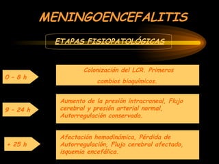 MENINGOENCEFALITIS
ETAPAS FISIOPATOLÓGICAS
0 – 8 h
Colonización del LCR. Primeros
cambios bioquímicos.
9 – 24 h
Aumento de la presión intracraneal, Flujo
cerebral y presión arterial normal,
Autorregulación conservada.
+ 25 h
Afectación hemodinámica, Pérdida de
Autorregulación, Flujo cerebral afectado,
isquemia encefálica.
 