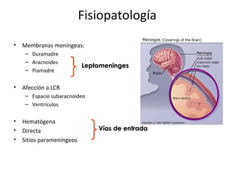 Fisiopatología
•   Membranas meníngeas:
     – Duramadre
     – Aracnoides
                           Leptomeninges
     – Piamadre


•   Afección a LCR
     – Espacio subaracnoideo
     – Ventrículos


•   Hematógena
•   Directa                    Vías de entrada
•   Sitios parameníngeos
 