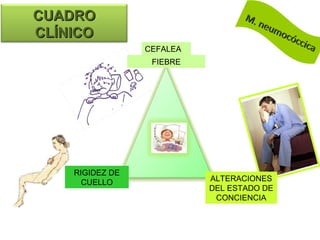 CUADRO                            M.
                                     neu
CLÍNICO                                 mo
                                          cóc
                                             cica
                 CEFALEA
                  FIEBRE




    RIGIDEZ DE
      CUELLO               ALTERACIONES
                           DEL ESTADO DE
                            CONCIENCIA
 