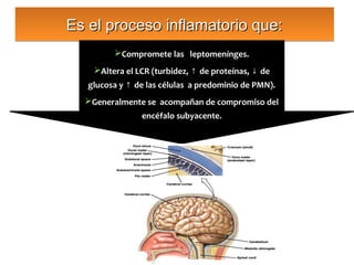Es el proceso inflamatorio que:
         Compromete las leptomenínges.
    Altera el LCR (turbidez, ↑ de proteínas, ↓ de
   glucosa y ↑ de las células a predominio de PMN).
  Generalmente se acompañan de compromiso del
                encéfalo subyacente.
 