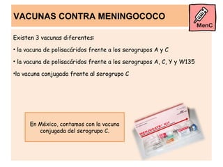 VACUNAS CONTRA MENINGOCOCO

Existen 3 vacunas diferentes:
• la vacuna de polisacáridos frente a los serogrupos A y C

• la vacuna de polisacáridos frente a los serogrupos A, C, Y y W135

•la vacuna conjugada frente al serogrupo C




      En México, contamos con la vacuna
         conjugada del serogrupo C.
 