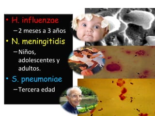 • H. influenzae
  – 2 meses a 3 años
• N. meningitidis
  – Niños,
    adolescentes y
    adultos.
• S. pneumoniae
  – Tercera edad
 