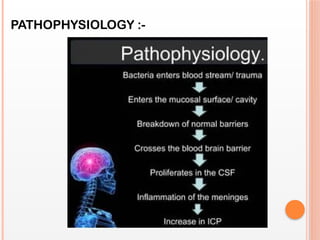 PATHOPHYSIOLOGY :-
 