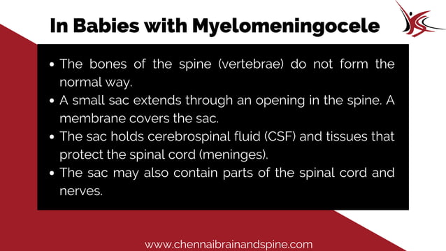 Meningomyelocele | PDF | Brain and Nervous System Disorders | Diseases ...