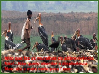 Mito que faz as muralhas da sobrevivênciaNão!...Não quero abordar a displicênciaMas não a mais nada para fazer