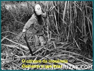 O cárcere da inocênciaDemarca o que lutar