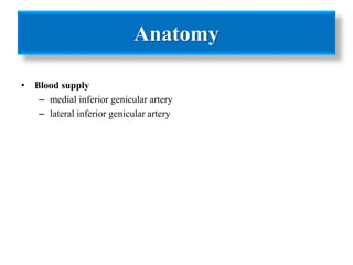 Anatomy 
• Blood supply 
– medial inferior genicular artery 
– lateral inferior genicular artery 
 