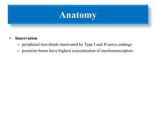 Anatomy 
• Innervation 
– peripheral two-thirds innervated by Type I and II nerve endings 
– posterior horns have highest concentration of mechanoreceptors 
 