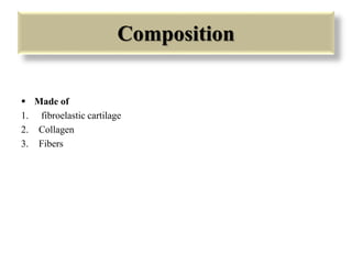 Composition 
 Made of 
1. fibroelastic cartilage 
2. Collagen 
3. Fibers 
 