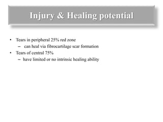 Injury & Healing potential 
• Tears in peripheral 25% red zone 
– can heal via fibrocartilage scar formation 
• Tears of central 75% 
– have limited or no intrinsic healing ability 
 