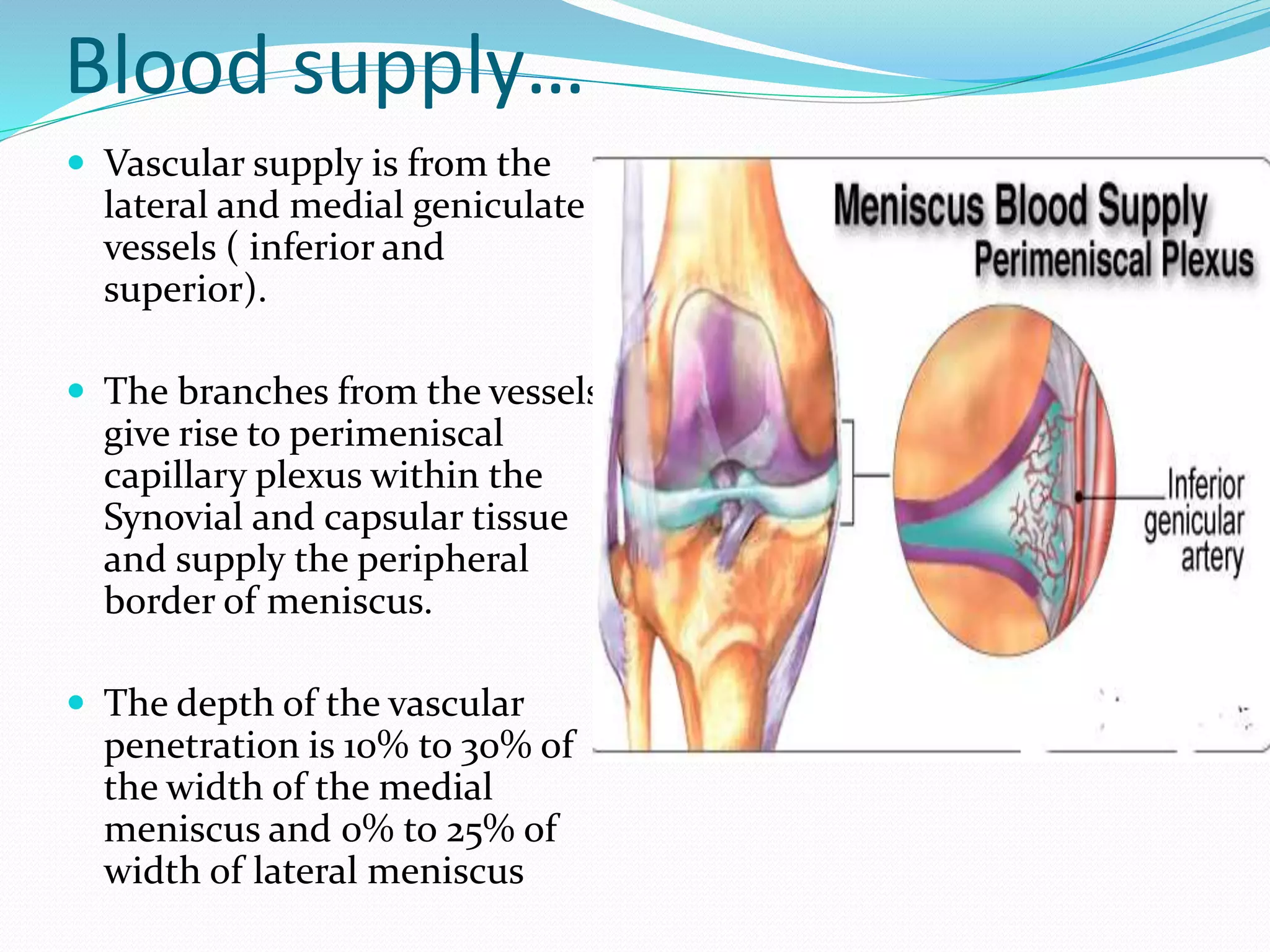 Meniscal Injury PPTX meniscal-injury-pptx