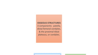 OSSEOUS STRUCTURES
3 components: patella,
distal femoral condyles,
& the proximal tibial
plateaus, or condyles.
 