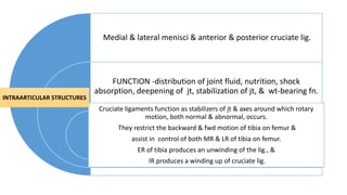 Medial & lateral menisci & anterior & posterior cruciate lig.
FUNCTION -distribution of joint fluid, nutrition, shock
absorption, deepening of jt, stabilization of jt, & wt-bearing fn.
Cruciate ligaments function as stabilizers of jt & axes around which rotary
motion, both normal & abnormal, occurs.
They restrict the backward & fwd motion of tibia on femur &
assist in control of both MR & LR of tibia on femur.
ER of tibia produces an unwinding of the lig., &
IR produces a winding up of cruciate lig.
INTRAARTICULAR STRUCTURES
 