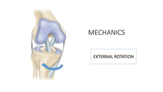 MECHANICS
EXTERNAL ROTATION
 