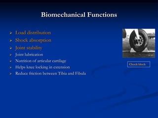 Biomechanical Functions 
 Load distribution 
 Shock absorption 
 Joint stability 
 Joint lubrication 
 Nutrition of articular cartilage 
 Helps knee locking in extension 
 Reduce friction between Tibia and Fibula 
Chock block 
 