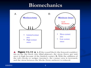 Biomechanics 
Meniscectomy Meniscus intact 
• Limited contact 
area 
• High contact 
stress 
6/29/2013 6 
Load 
Distribution 
• More contact 
area 
• Low contact 
stress 
 