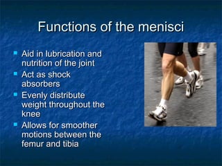 Meniscal tears | PPT