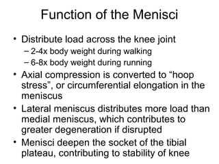 Meniscal tearsandtheirtreatment | PPT