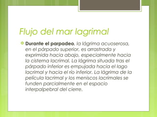 Flujo del mar lagrimal
 Durante el parpadeo, la lágrima acuoserosa,
en el párpado superior, es arrastrada y
exprimida hacia abajo, especialmente hacia
la cisterna lacrimal. La lágrima situada tras el
párpado inferior es empujada hacia el lago
lacrimal y hacia el río inferior. La lágrima de la
película lacrimal y los meniscos lacrimales se
funden parcialmente en el espacio
interpalpebral del cierre.
 