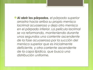  Al abrir los párpados, el párpado superior
arrastra hacia arriba su propio menisco
lacrimal acuoseroso y deja otro menisco
en el párpado inferior. La película lacrimal
se va reformando, manteniendo durante
unos segundos una corriente ascendente
de la fase acuoserosa por la succión del
menisco superior que es inicialmente
deficiente, y otra corriente ascendente
de la capa lípidica, que busca una
distribución uniforme.
 